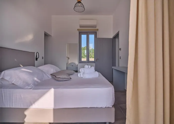 Olea&ramus Paros Villa Isterni (Paros)