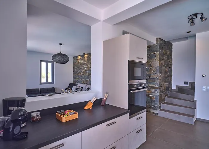 Villa Olea&ramus Paros *