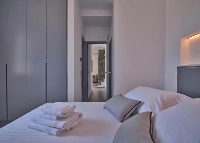 Olea&ramus Paros Villa Isterni (Paros)