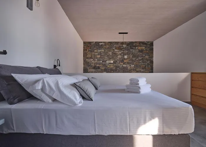 Olea&ramus Paros Villa Isterni (Paros)